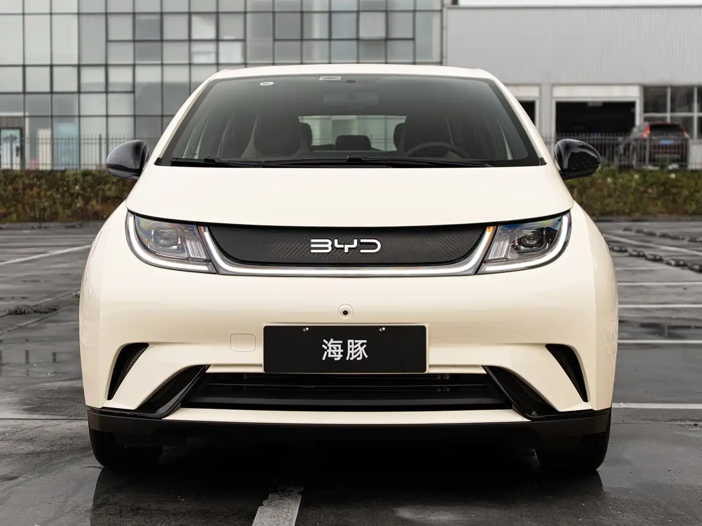 BYD Dolphin 2026 2025 420km Freedom Edition