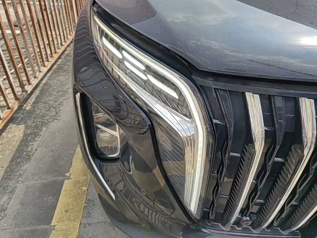Photo 11 - Hongqi HS7 PHEV