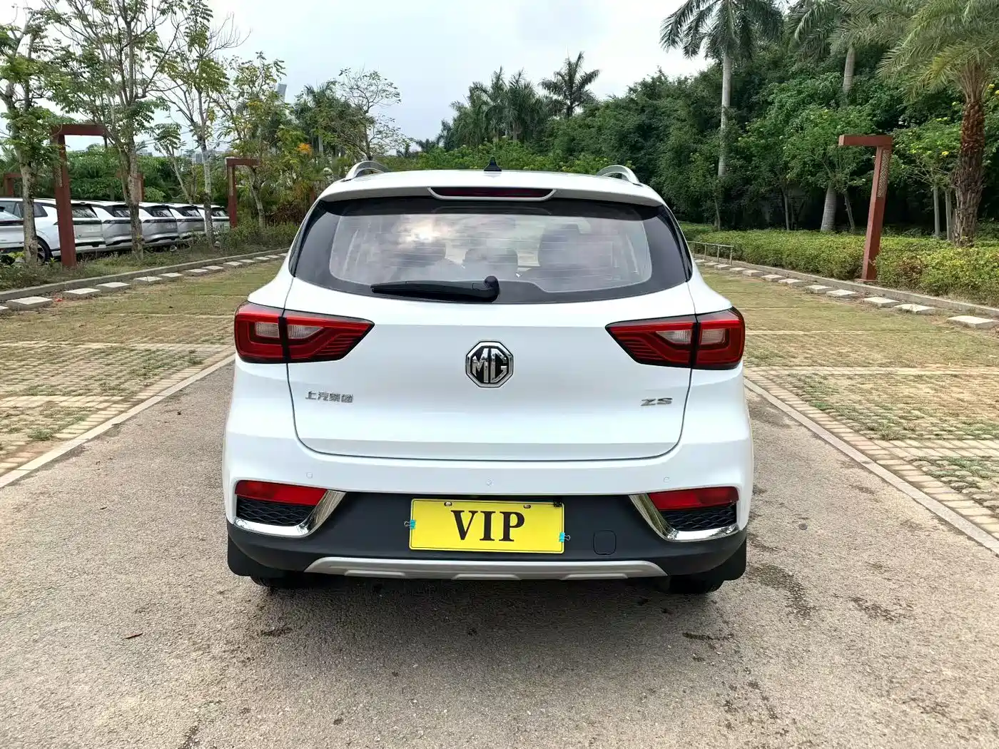 MG ZS 2019 2018 1.5L Automatic Luxury China V