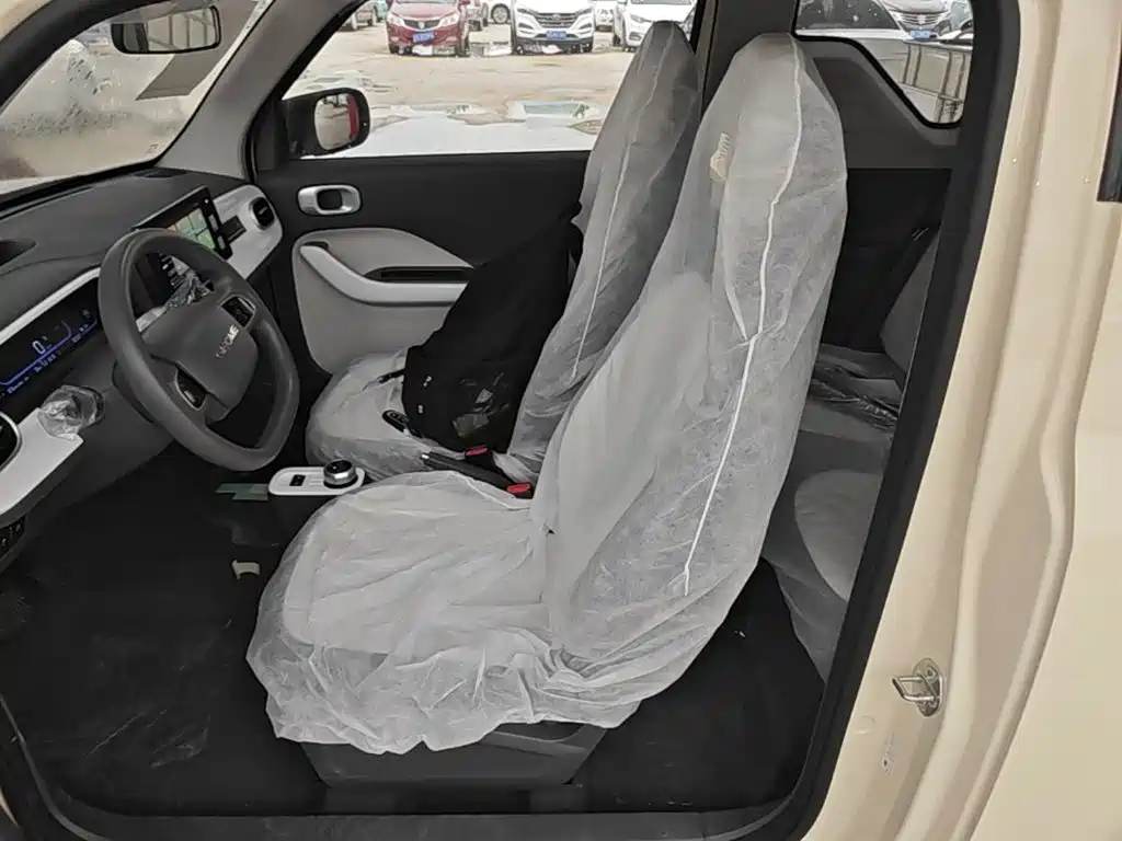 Geely Galaxy Panda 2026 2025 Panda mini 210km Vitality Bear