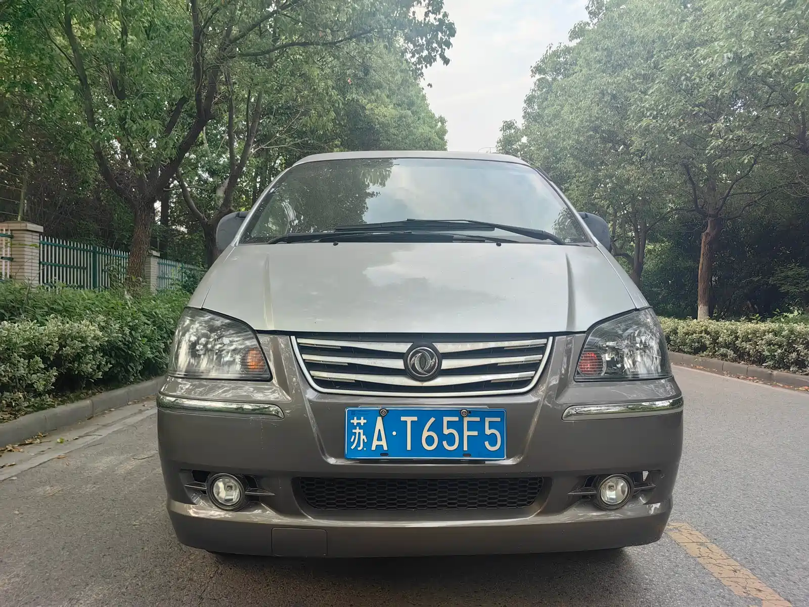 Photo 2 - Dongfeng Fengxing Lingzhi
