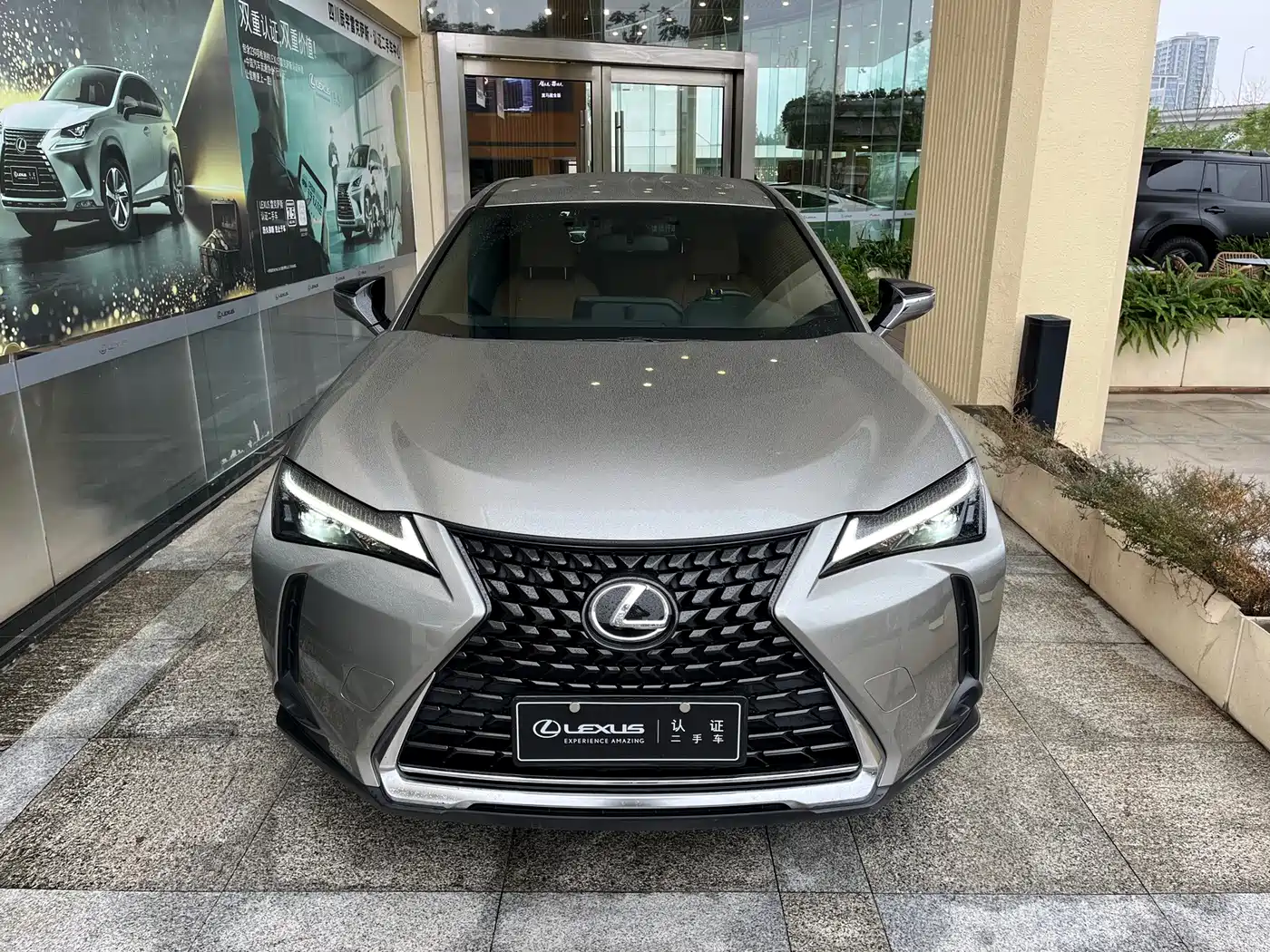 Lexus UX 2022 2022 260h Cool Edition