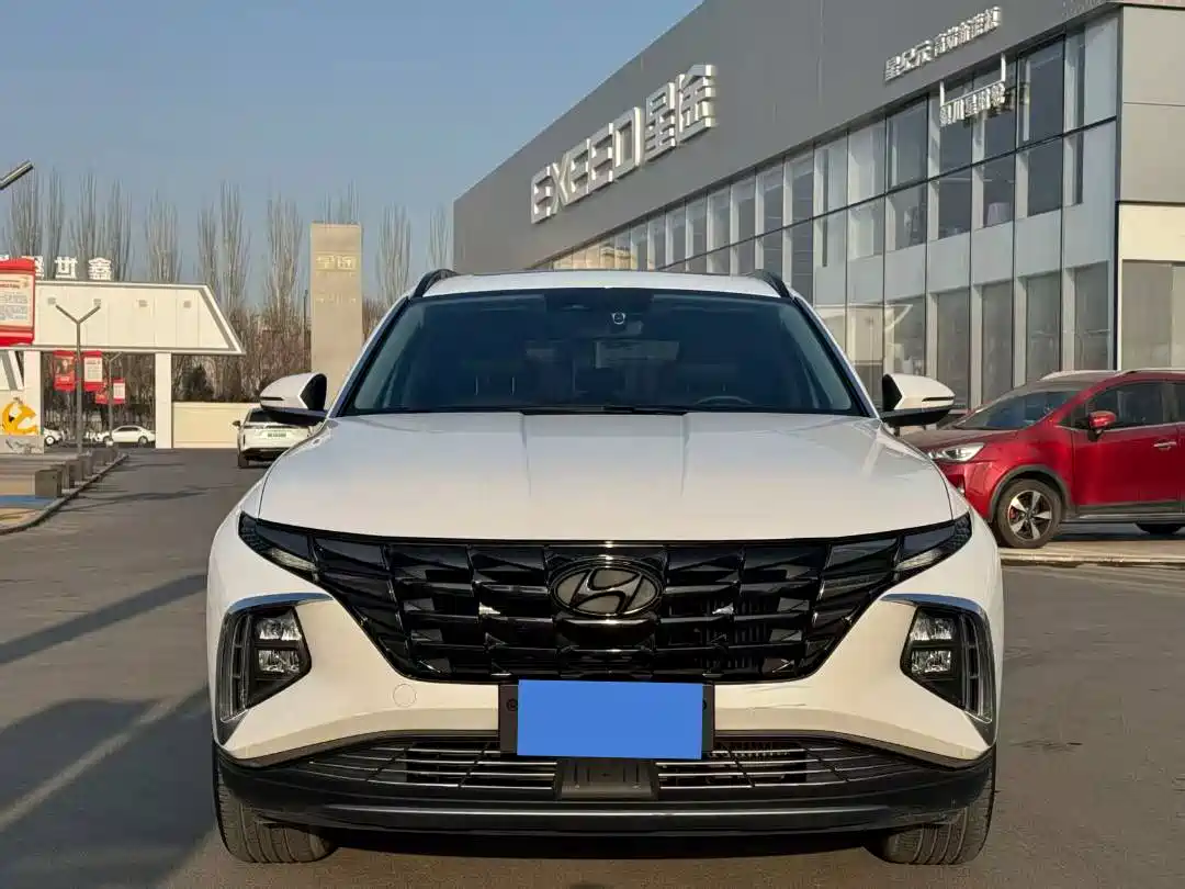 Hyundai Tucson 2021 Tucson L 1.5T DCT LUX Premium фото 2