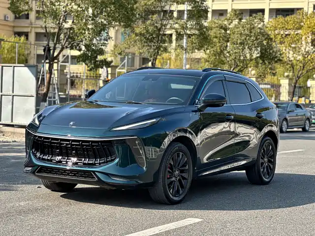 Dongfeng Fengxing Fengxing T5 EVO 2021 1.5TD DCT Starlight Edition