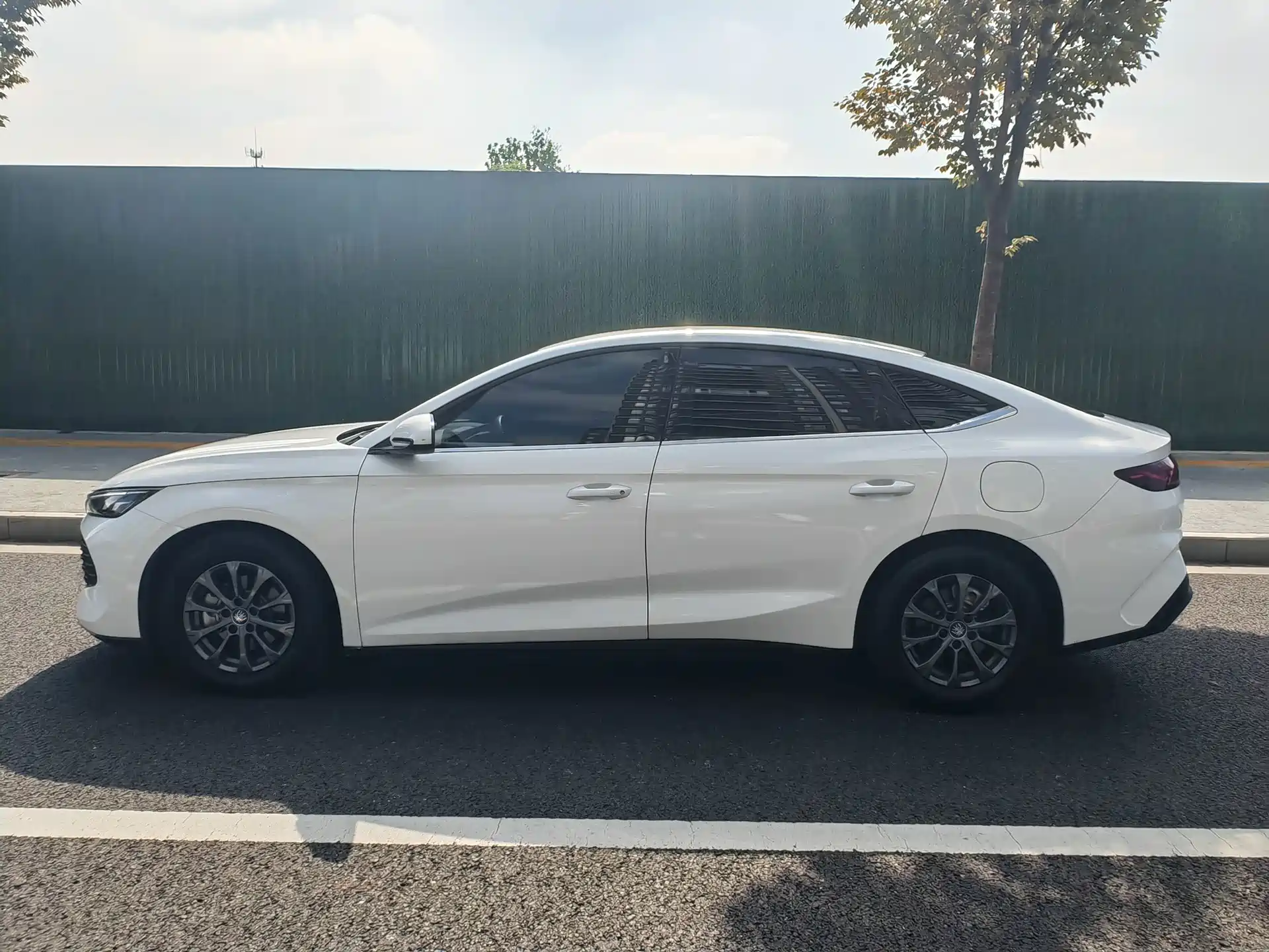 Photo 8 - BYD Qin L