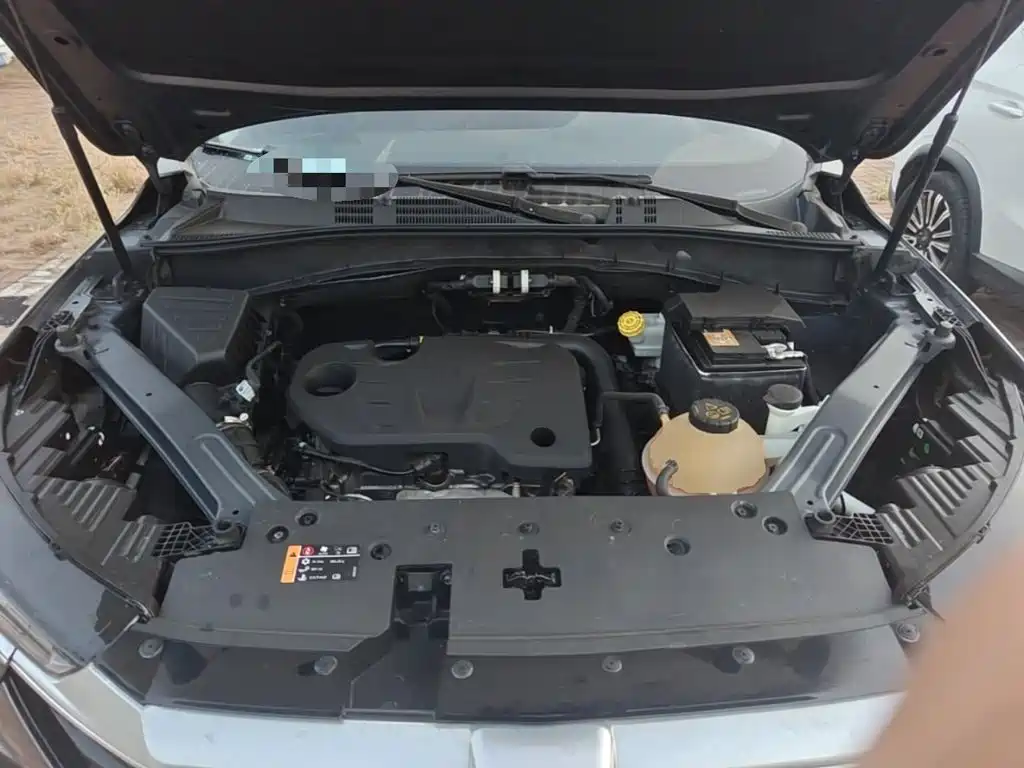 Фото 20 - Roewe RX5