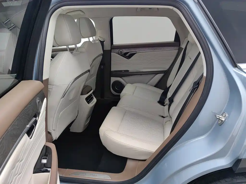 Voyah Auto VOYAH FREE 2021 2021 AWD Standard Range Extender Exclusive Luxury Package