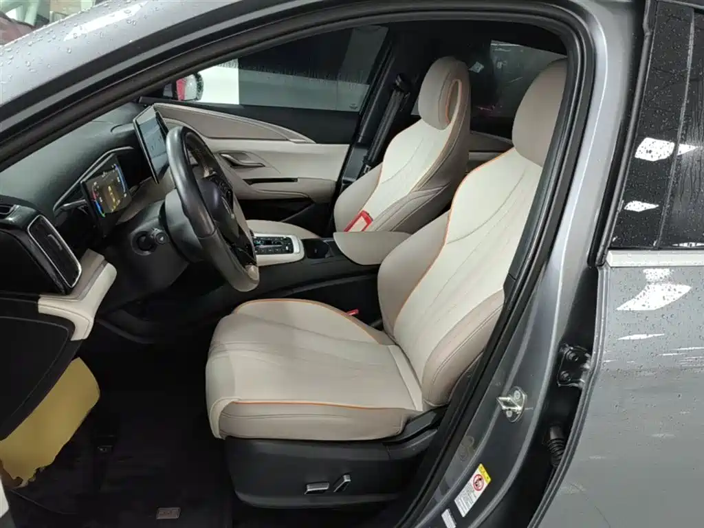 BYD Song Pro New Energy 2024 Glory Edition DM-i 71KM Pilot фото 15