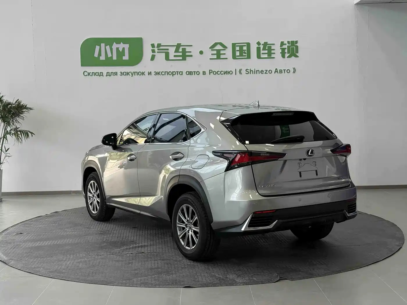 LEXUS NX