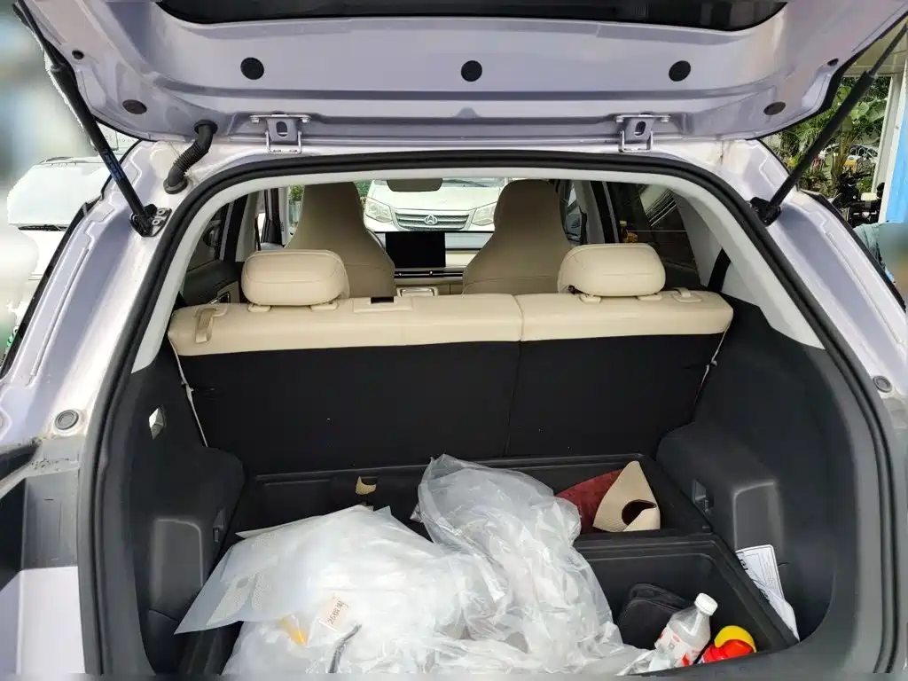 Wuling Motors Wuling Bingo S 2025 2025 Model 325km Flagship Edition