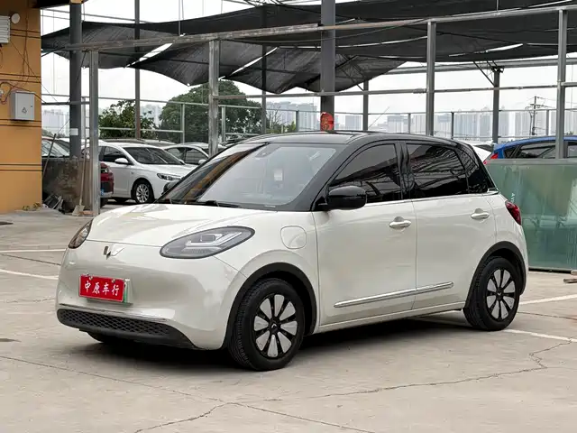 Wuling Motors Wuling Bingo 2023 Model 333km Joy+ Version