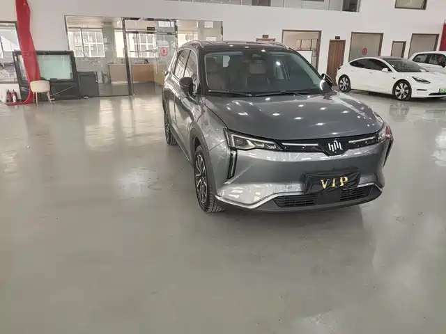 WM Motor W6 520km ACE, Ultra Smart