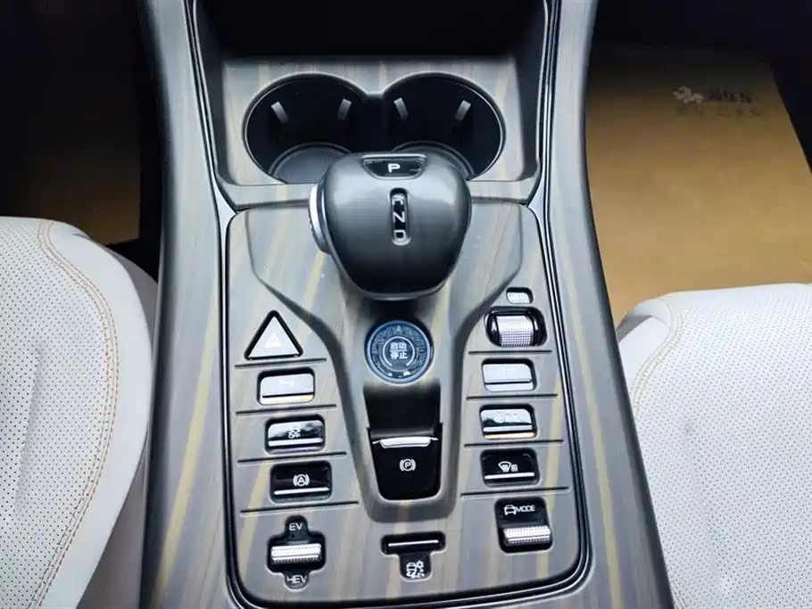 BYD Qin PLUS 2024 Glory Edition DM-i 55KM Leading фото 16