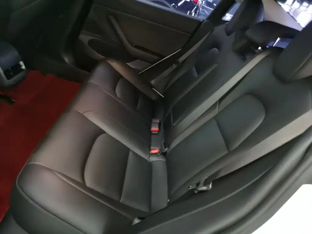 Tesla Model 3 2020 2020 Standard Range Rear-Wheel Drive Upgrade