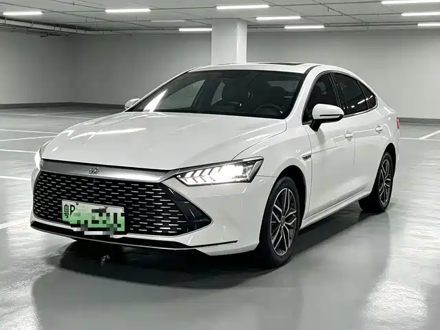 BYD Qin PLUS Чемпион, DM-i 120KM, Лидер