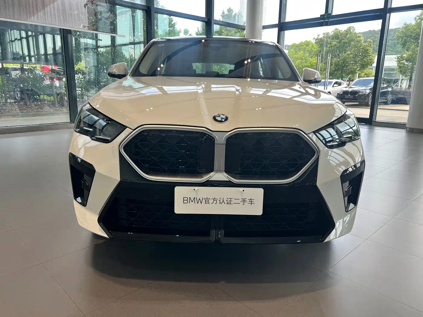 BMW X2 (Import) 2024 sDrive25i M Sport Package фото 2