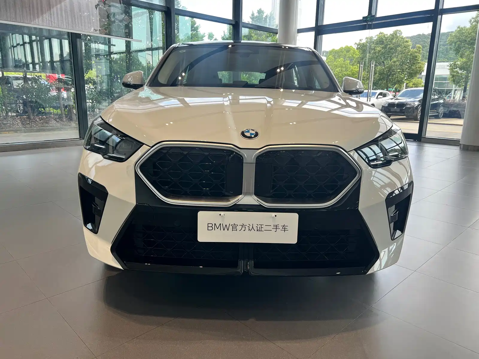Photo 2 - BMW X2 (Import)