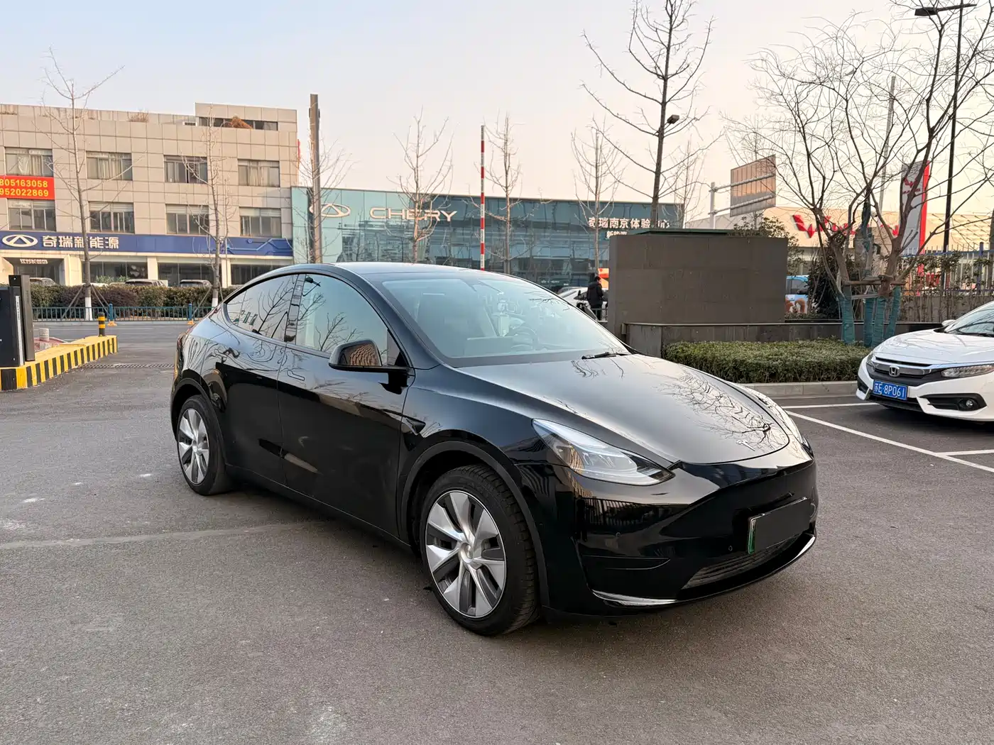TESLA MODEL Y