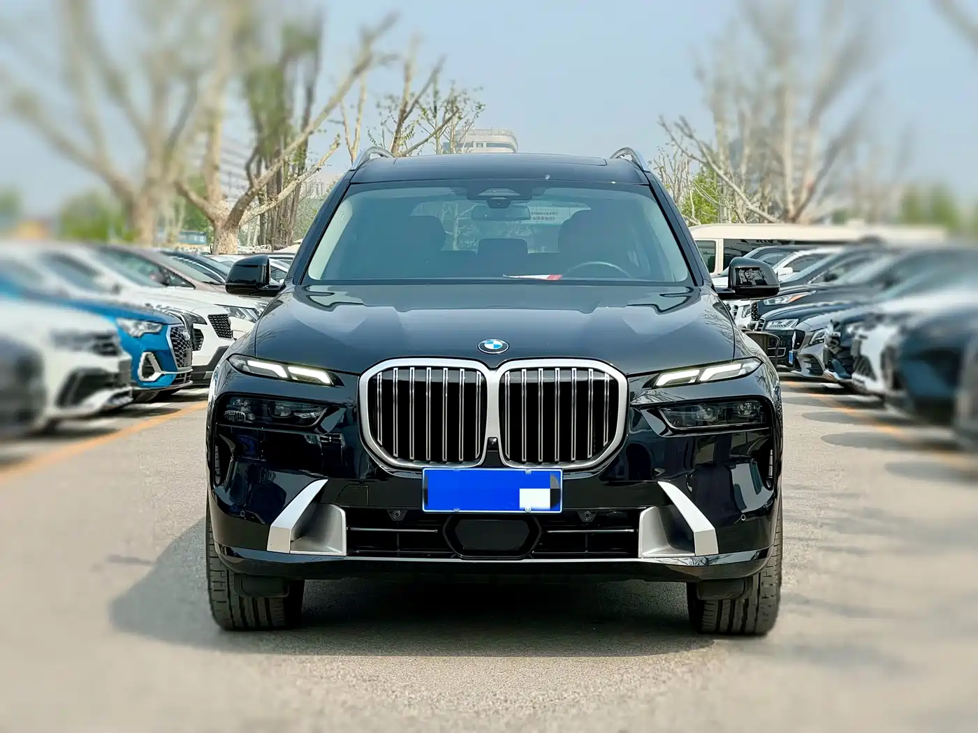 BMW X7 2023 xDrive40i Leading Luxury Package фото 2