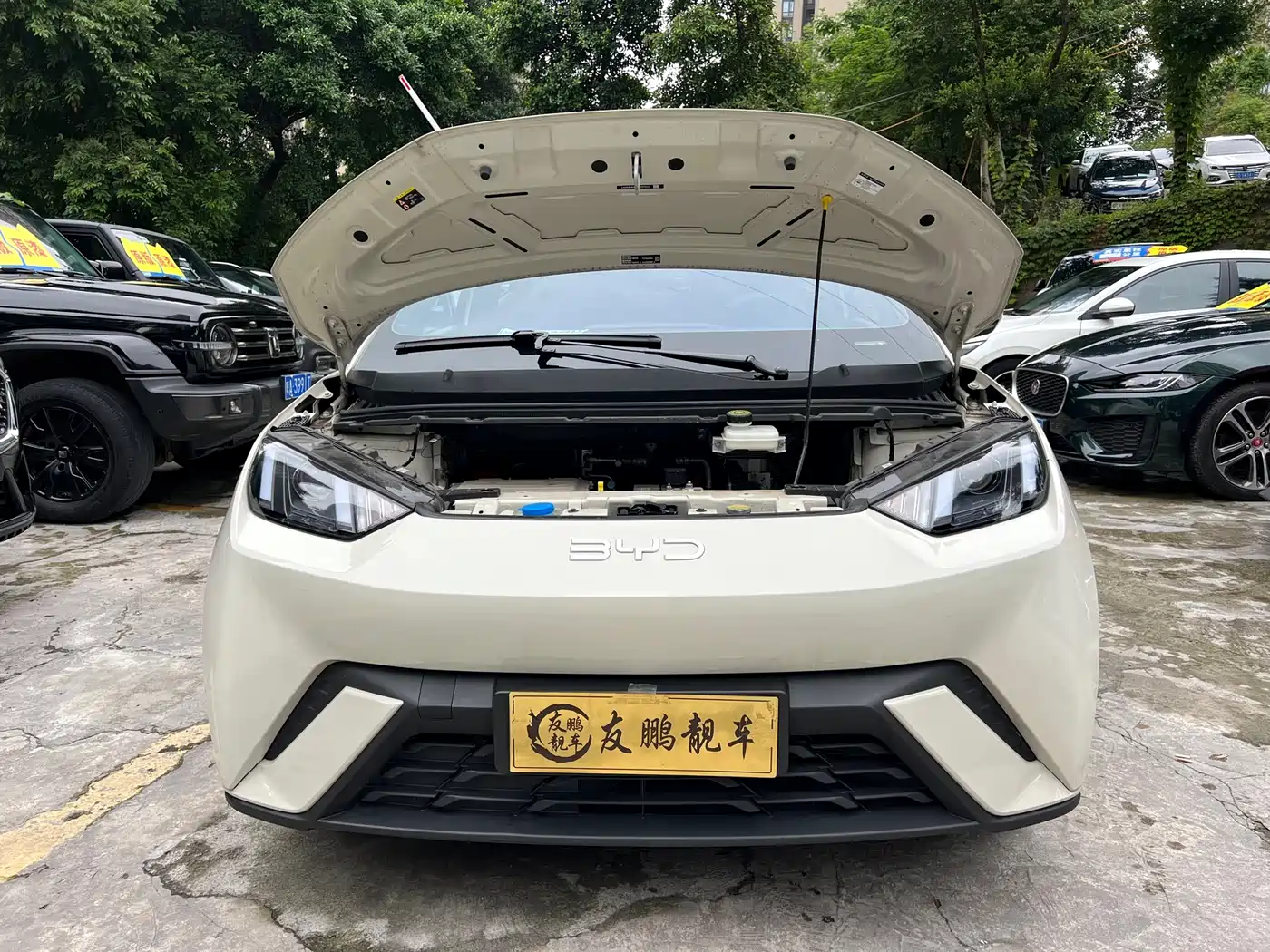 BYD Seagull 2024 Glory Edition 305km Vitality Edition фото 4