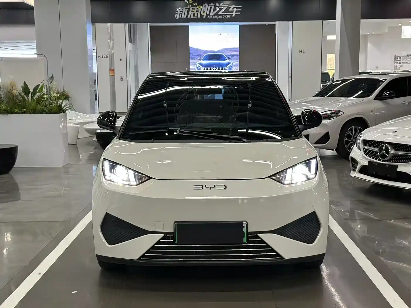BYD Seagull 2026 2025 Smart Drive Edition 305km Vitality Version
