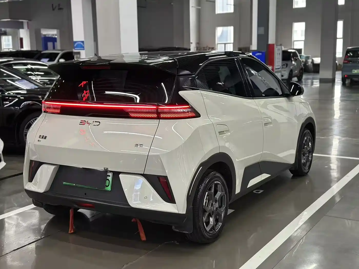 BYD Seagull 2026 2025 Smart Drive Edition 305km Vitality Version
