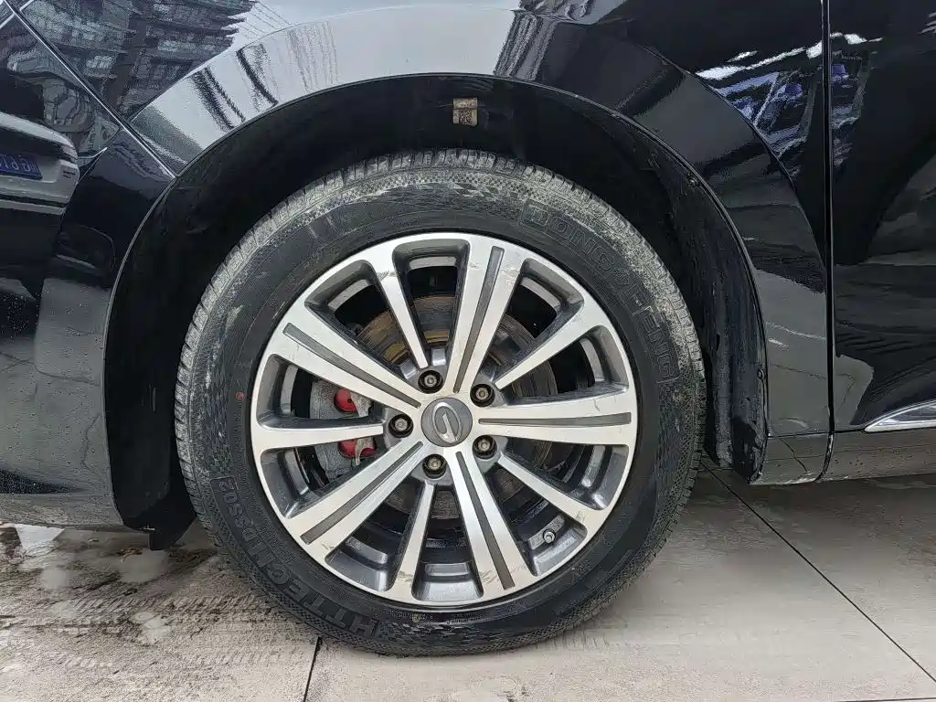 GAC Trumpchi Trumpchi M8 2018 320T Premium Edition фото 13
