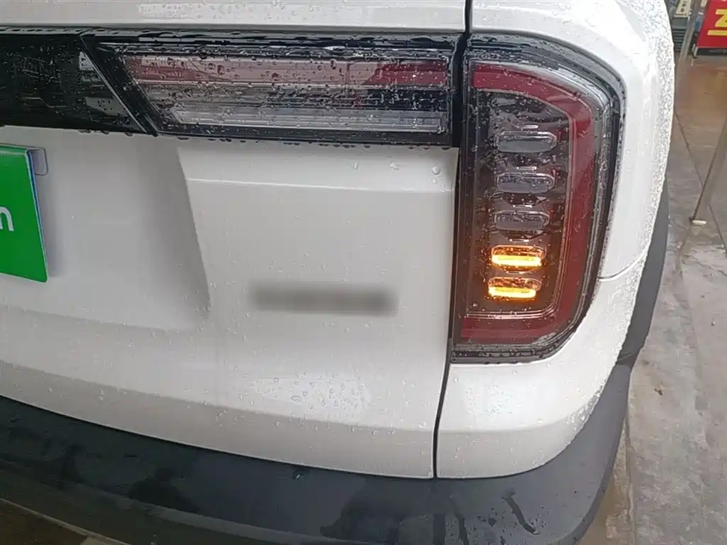 Haval Big Dog 2021 1.5T DCT 2WD Border Collie Edition фото 8