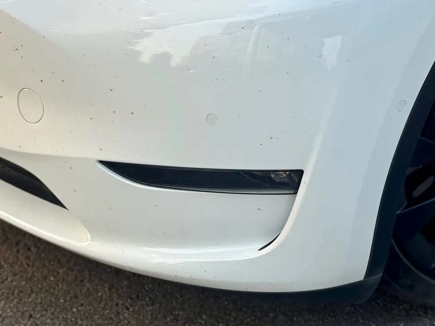 Фото 3 - Tesla Model Y