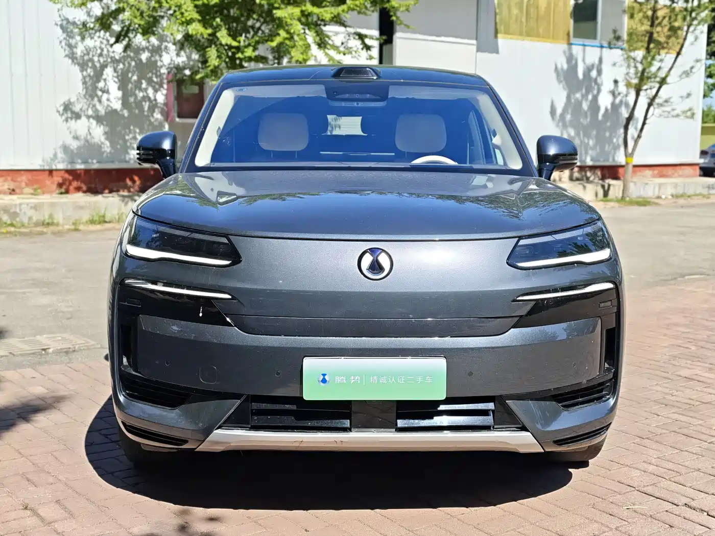 Denza N9 2025 2025 Flagship Model