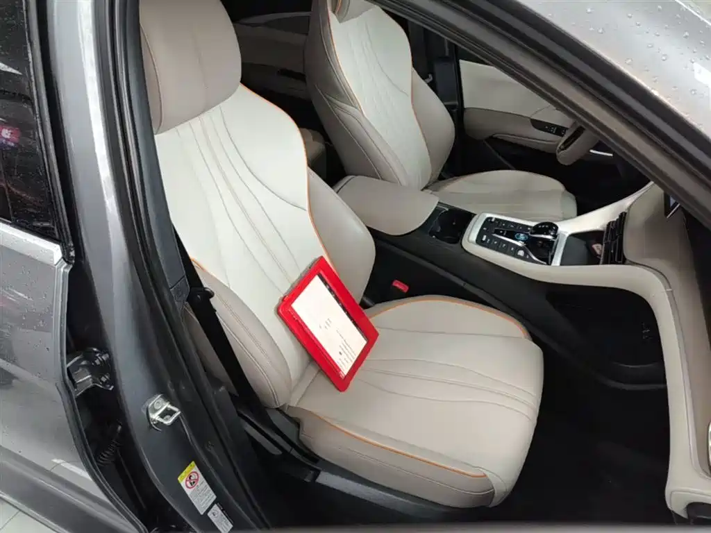 BYD Song Pro New Energy 2024 Glory Edition DM-i 71KM Pilot фото 25