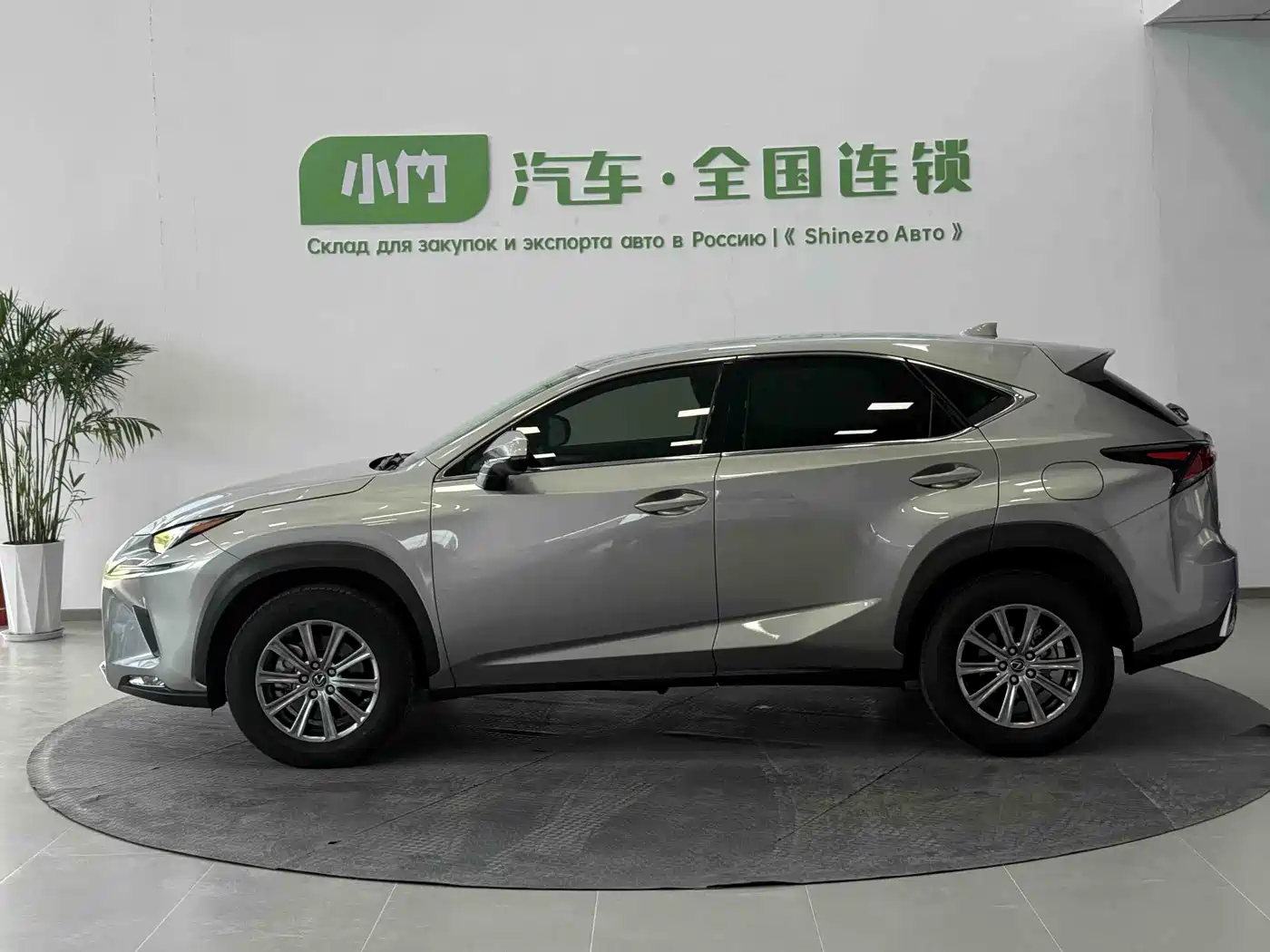 LEXUS NX