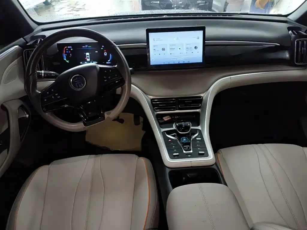 BYD Song Pro New Energy 2024 Glory Edition DM-i 71KM Pilot фото 10