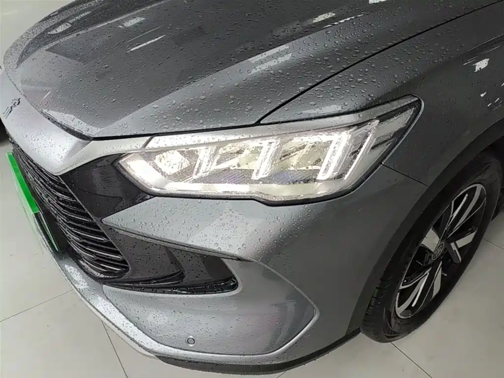 BYD Song Pro New Energy 2024 Glory Edition DM-i 71KM Pilot фото 24