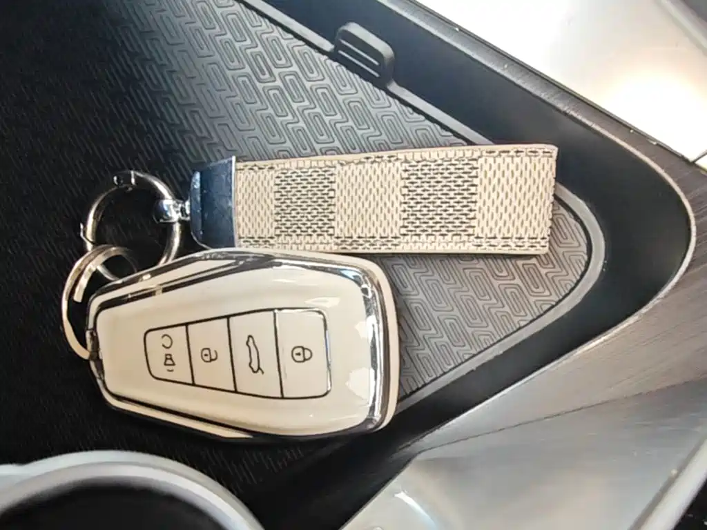 Фото 9 - Geely Binrui