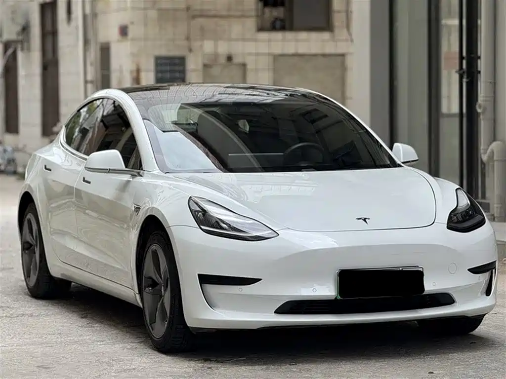 Tesla Model 3 2019 Standard Range Rear-Wheel Drive Upgrade фото 3