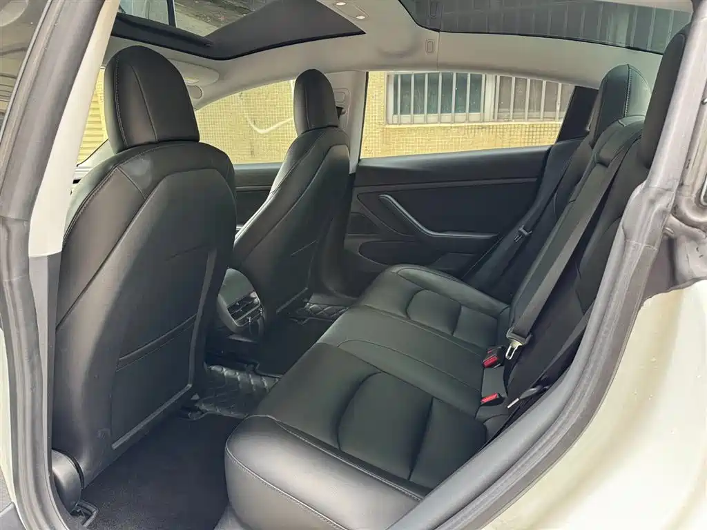 Tesla Model 3 2019 Standard Range Rear-Wheel Drive Upgrade фото 5