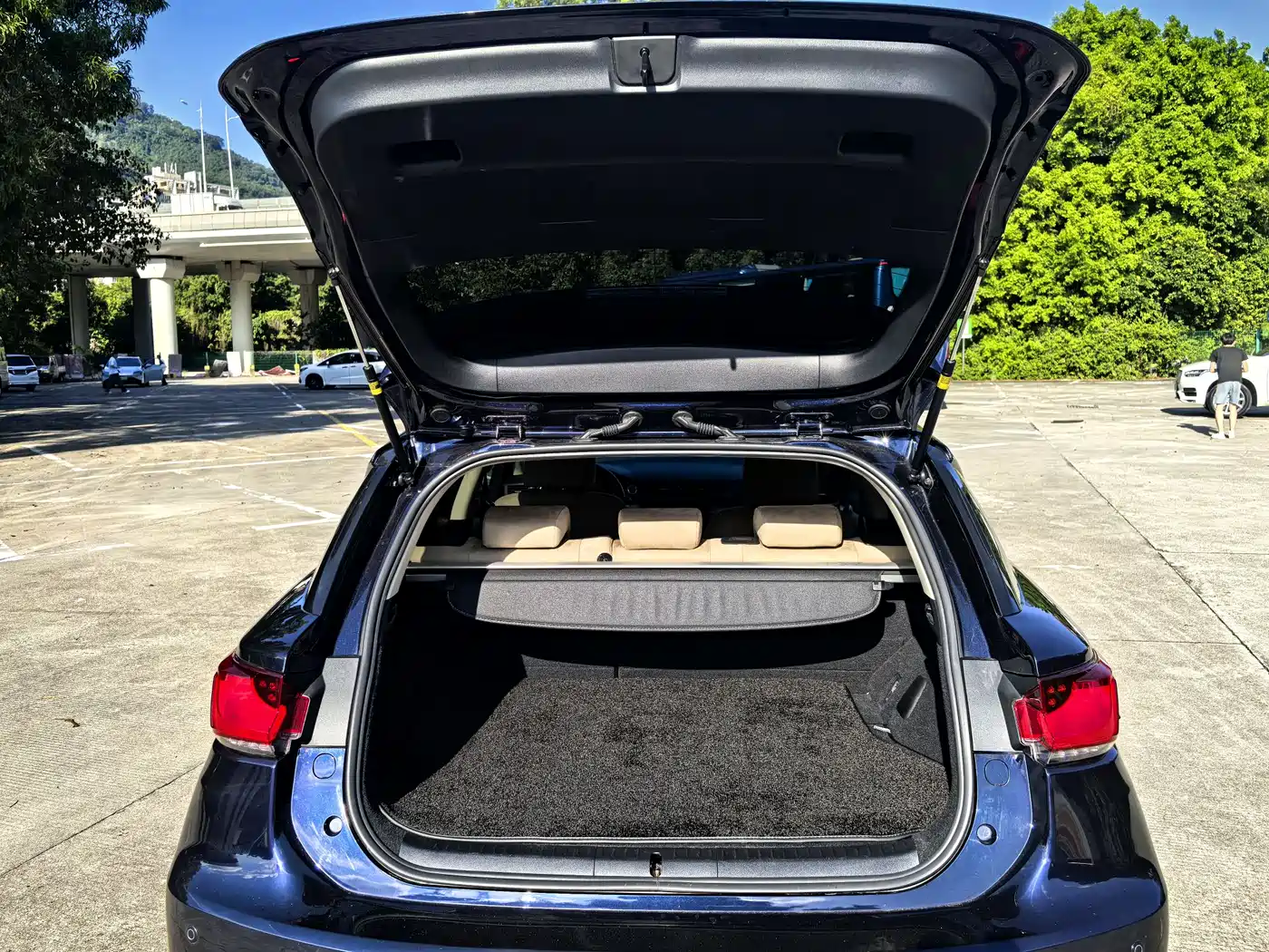 Lexus CT 2019 2017 CT200h Elite Edition Monochrome China V