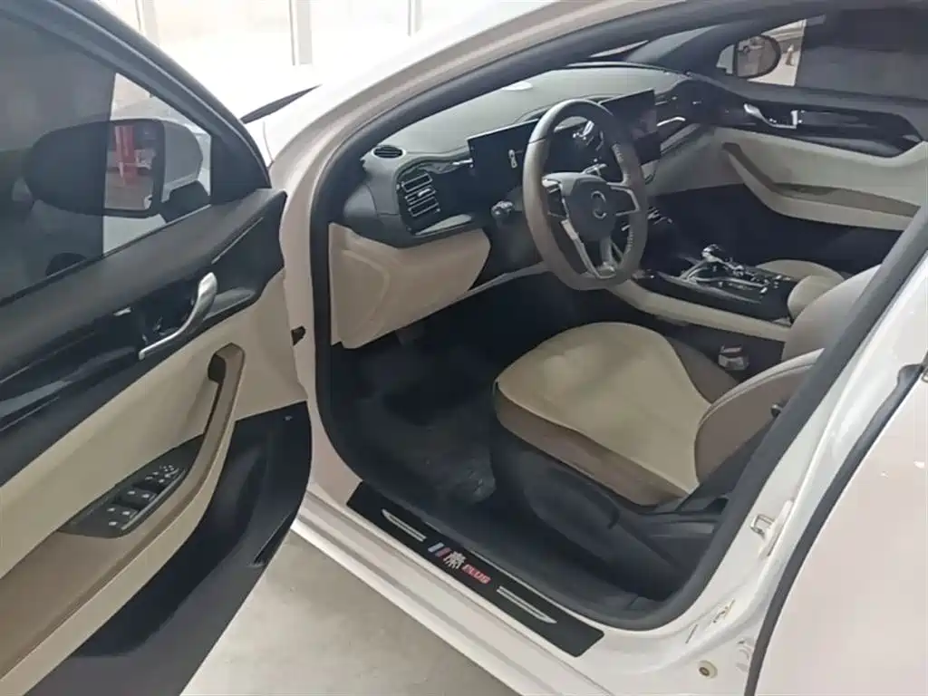 BYD Qin PLUS 2024 Glory Edition DM-i 55KM Leading фото 16