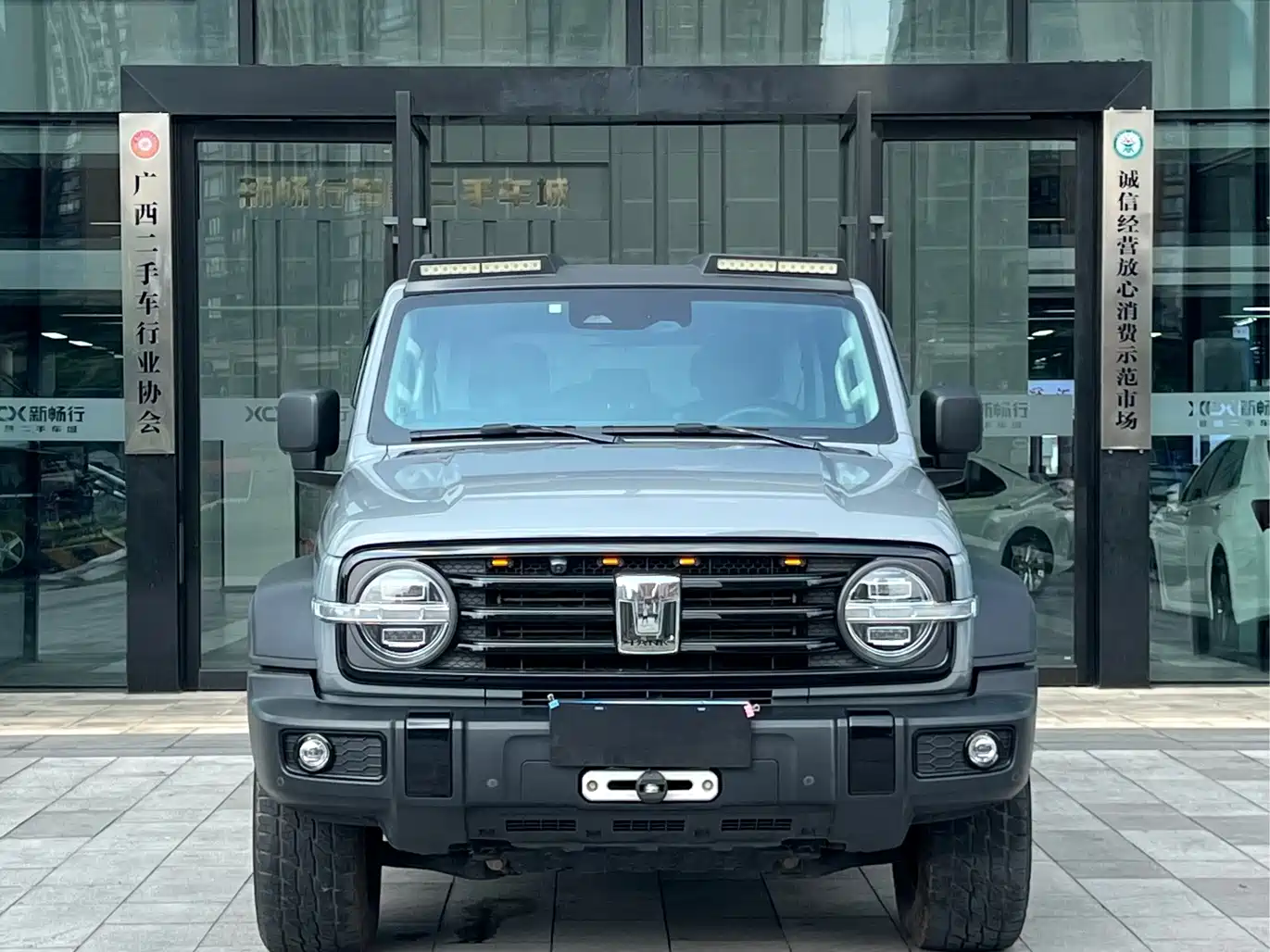 Tank 300 2021 2021 Off-road Version 2.0T Conqueror