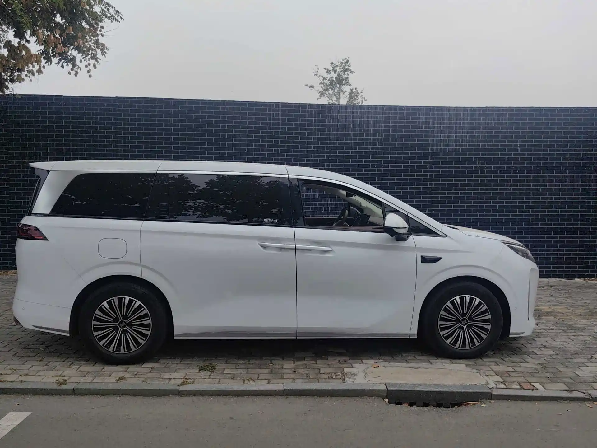Фото 4 - BYD Xia