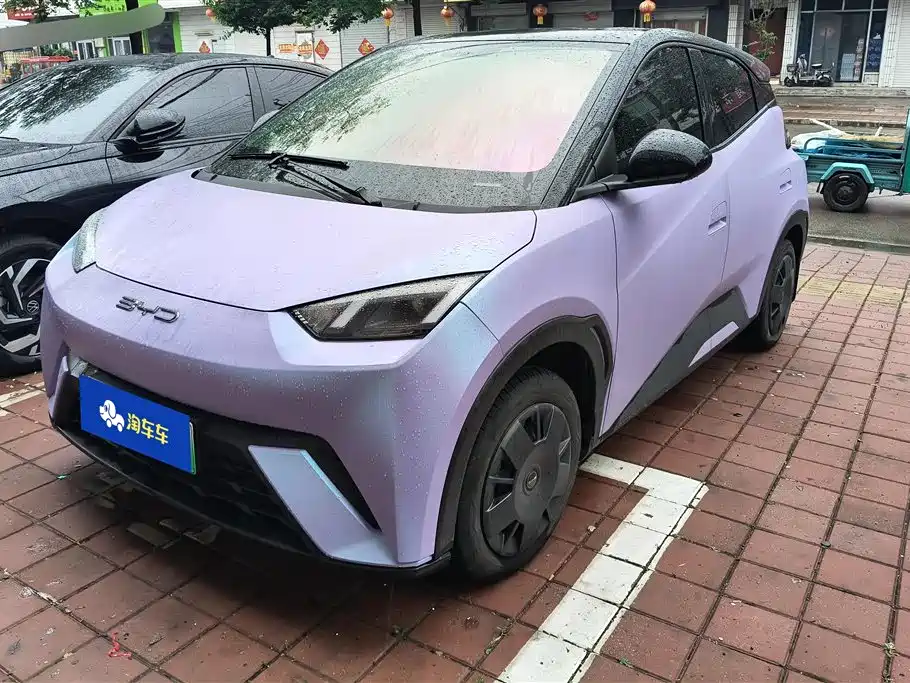 BYD Seagull 2024 Glory Edition 305km Vitality Edition
