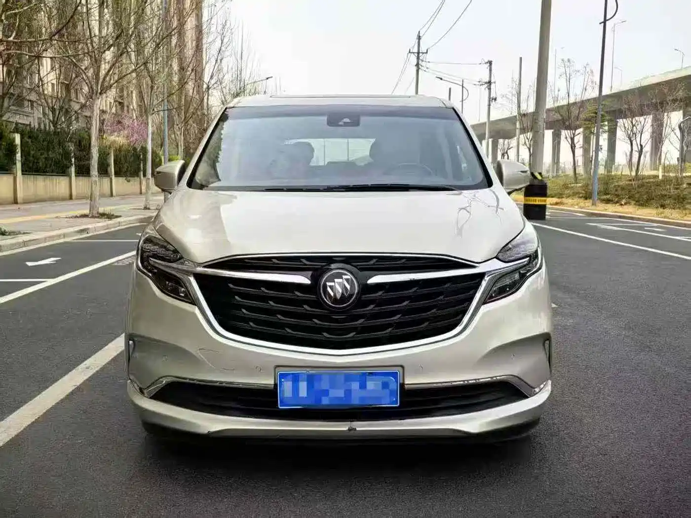 Buick GL8 2021 ES Landlord 653T Luxury фото 2