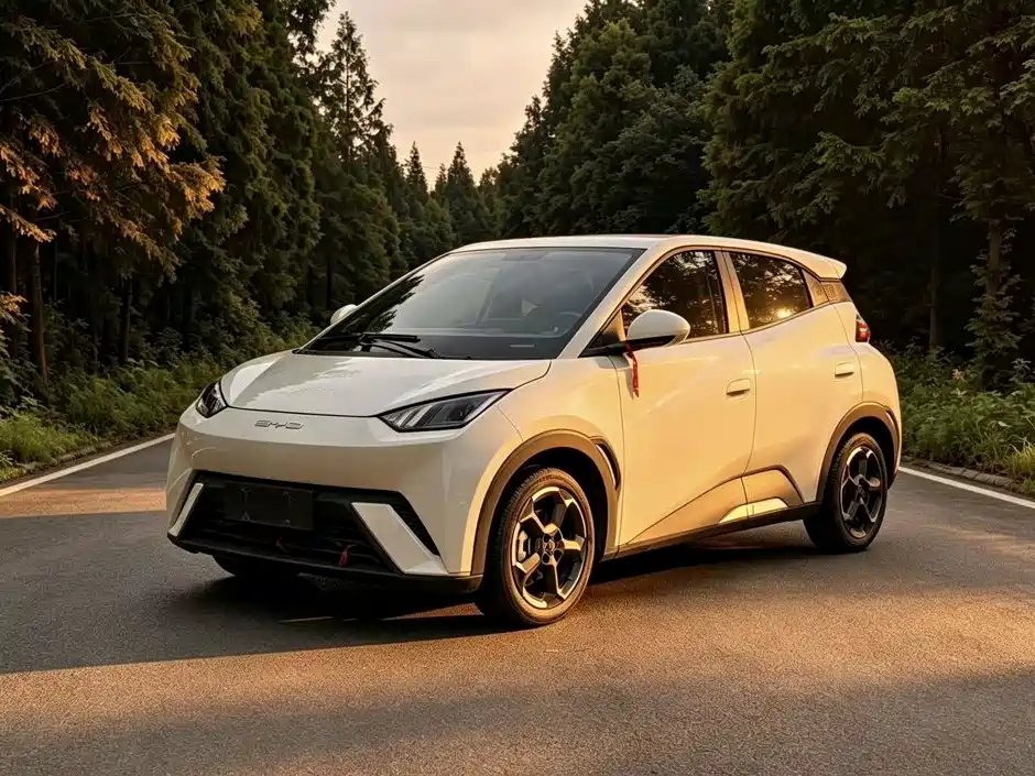  BYD Seagull 2024 Glory Edition 305km Freedom Edition