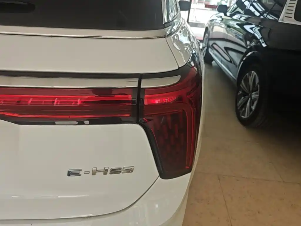 Hongqi E-HS9 2023 2022 690km Qi Xiang Edition (6-seater)
