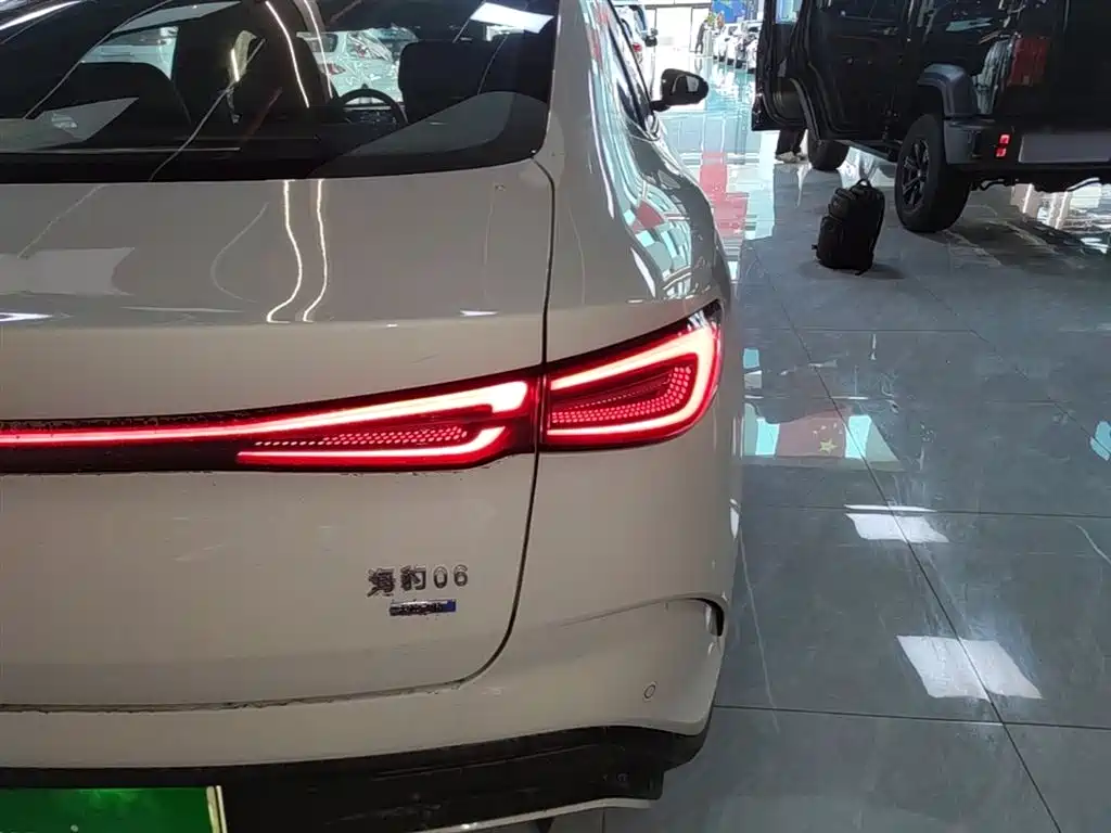 BYD Seal 06 New Energy 2025 DM-i Smart Drive Edition 120KM Luxury фото 8