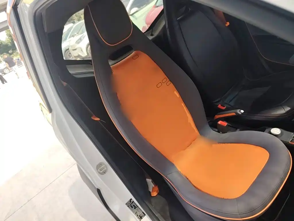 Baojun E100 2019 2019 250KM Smart Edition