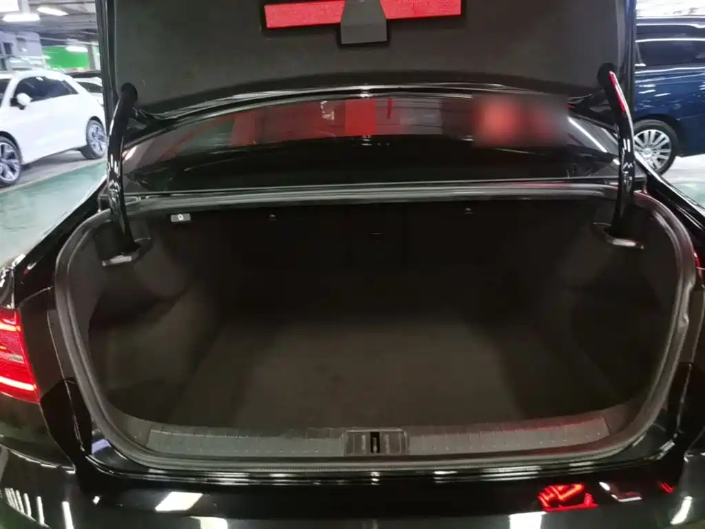 Volkswagen Magotan 2017 330TSI DSG Luxury фото 19