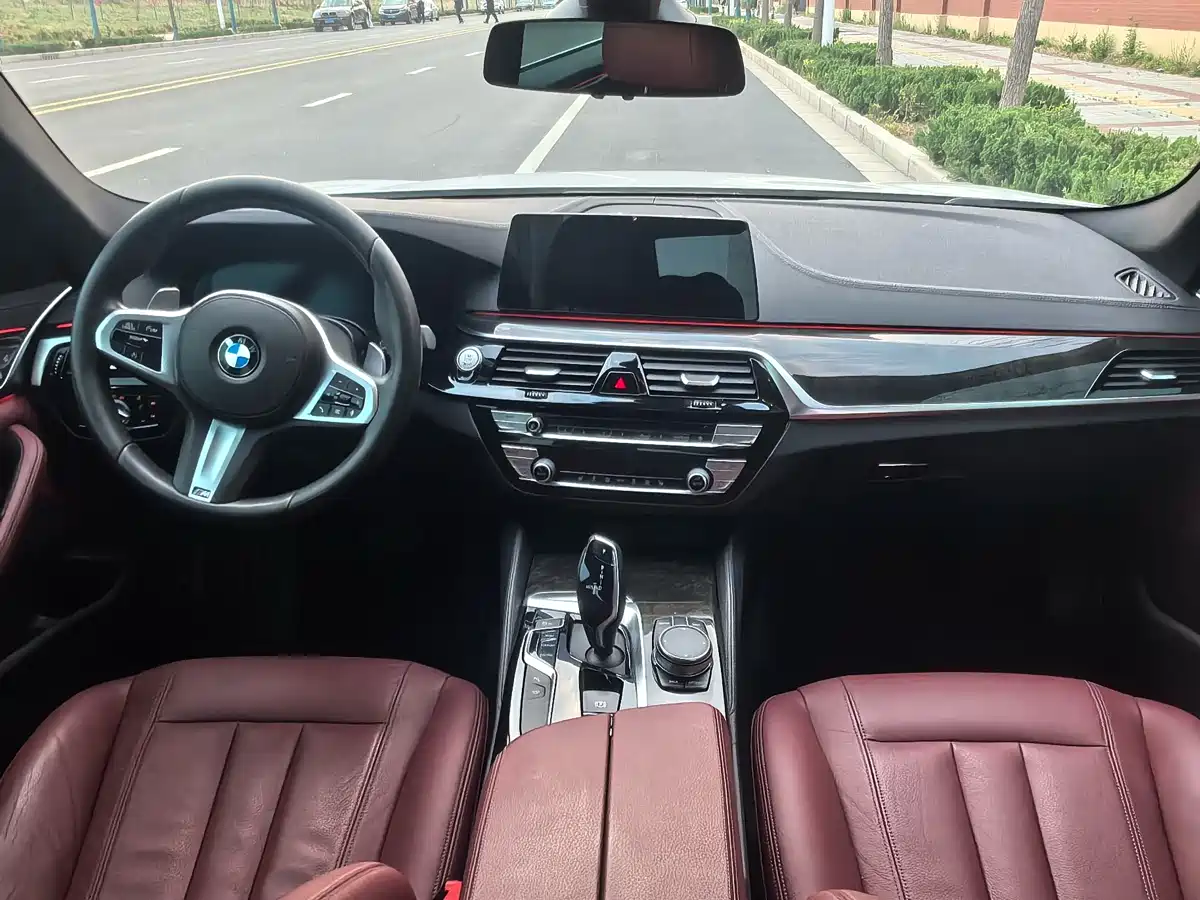 BMW 5 Series 2020 530Li Leading M Sport Package фото 15