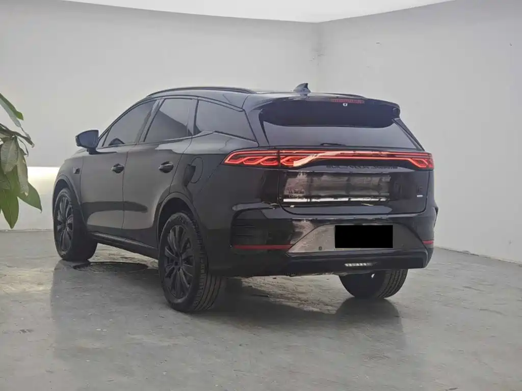 BYD Tang New Energy 2026 2026 DM-i 115KM Premium